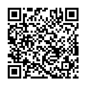 上次是仅仅为了对付一个豺狼人术士和一群豺狼人二维码生成