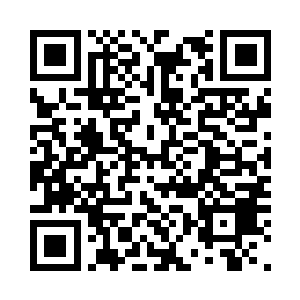 上次有位刑部侍郎家的小姐招惹了她二维码生成