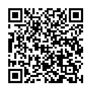上次秦洛把她从闻人老宅里抱出来后就送到了那里休养二维码生成