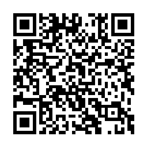 上次给父皇送进宫里去的茶想来也喝得差不多了二维码生成