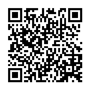 上次老爷拿回来的俸禄可都用来打点那芳仪姑姑了二维码生成