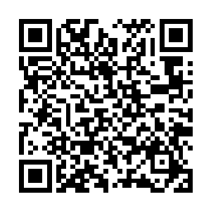 上次自己跟李姝初次来侯府的时候就是她在门外迎接的二维码生成