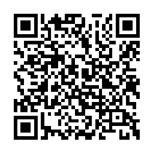 上次苏木被成少峰险些用石头拍了脑袋也没屈服二维码生成