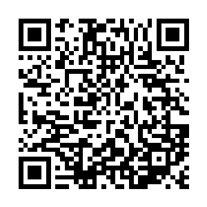 上次苏芷妍的表哥林为进以夏云杰请假太多的理由想赶他走二维码生成