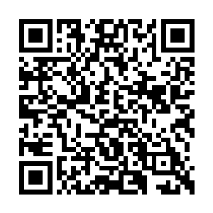 上次蓝家和你们仙来剑谷约战似乎过了十五年了二维码生成