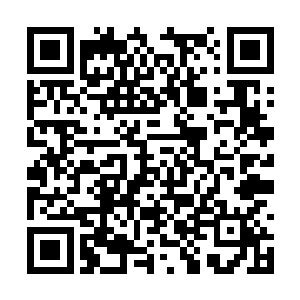上次让韩珊珊带给她的一百万她好像也没问我什么二维码生成