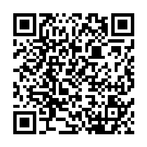 上清真人以及这太和真人等长长老都是帝宗地位崇高的长老二维码生成