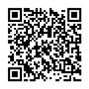 上演了有生以来最惊险也是最精彩的一次抱头鼠窜二维码生成