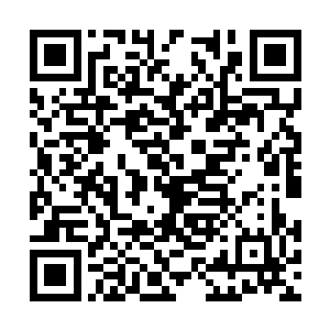 上百个复制体一下将这片宽广空间挤了个满满当当二维码生成