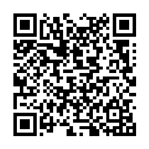 上百公里的巨大沼泽区域同时也有足够的活动空间二维码生成