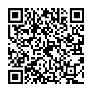 上百头巨型千足虫围在了广场之中的那具前足神君的雕像前二维码生成