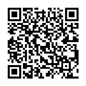上百支异能卫队看到自己的总教练居然两下就被打昏了二维码生成