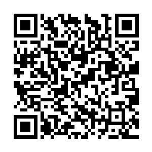 上空中的众人能够清楚闻到仙明湖中所发出的异味二维码生成