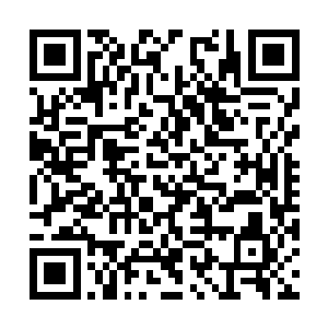 上级才让董惊鸿这个文彬的老部下来当了军事主官二维码生成