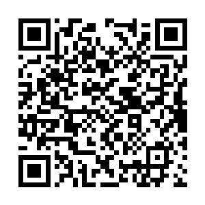 上苍视角的众人看着那仿佛暗中有黑手拨弄的局面二维码生成