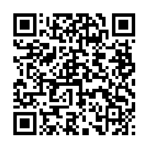 上身一件白底汹圆t恤的索尼娅抱着一叠表格即刻上岗二维码生成