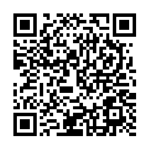 上边的小刺芒虽然细但是却自带一种最让人讨厌的麻痹毒性二维码生成