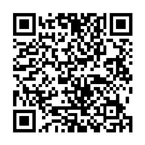 上边铺着一块块由碎蛋白拼成了一行正在展翅高飞的白鹭二维码生成
