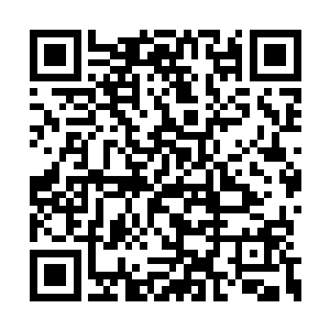 上面为什么一定要把你这个宝贝疙瘩给调入进来二维码生成