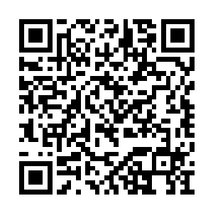 上面书写了冒险者们的死因――不遵守领地秩序二维码生成