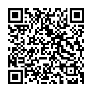 上面列举了在这次行动范围之内活动的恐怖组织和地方武装名单二维码生成