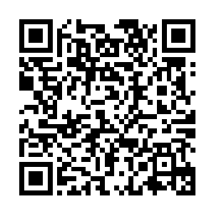 上面列出了一大堆如今林烽可以在国内带领家族涉足的二维码生成