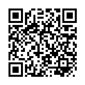 上面放着一对榴开百子镶嵌珠发簪二维码生成