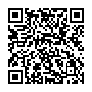 上面王贵已经手脚并用的从那窄窄板材上面爬了过去二维码生成