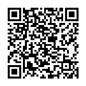 上面盖着一块灰都积得比布厚的黑红布盖在石象上二维码生成