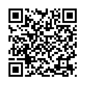 上面能够看到一只似鸟一样的轮廓二维码生成