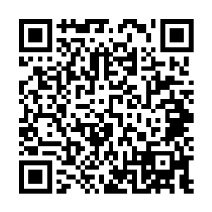 上面还印着一个尼尔斯骑鹅旅行记里的主角和他的大白鹅二维码生成