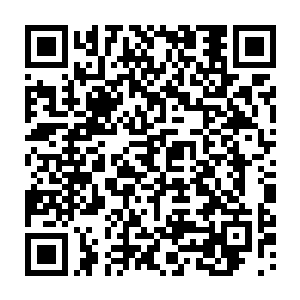 上面还有许多钳型口器的触手也以极快的速度从那血色漩涡之中激射而出二维码生成