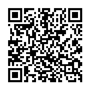 下一刻两条恐怖的血龙直接怒吼着朝着龙傲天的方向席卷而去二维码生成