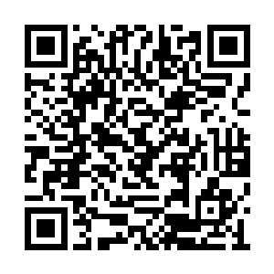 下一刻便已经停在了天灵殿三名执法长老的面前二维码生成
