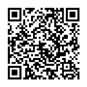 下一刻又是掉落到了距离地面不过一丈左右的地方二维码生成