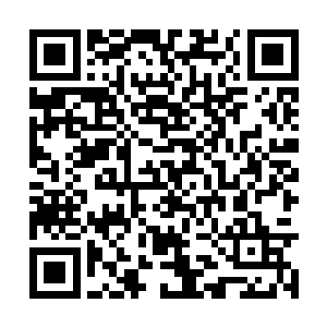 下一刻只见一道道诡异的手决从血衣人的手中结出二维码生成