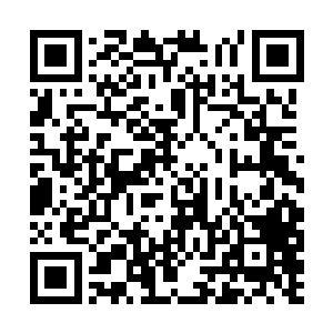 下一刻周围的空间也是出现在了一道道可怕的扭曲二维码生成