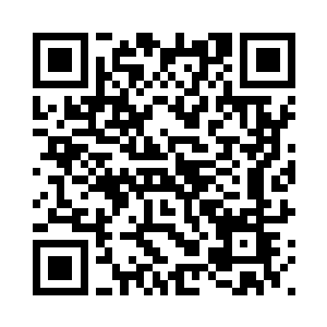 下一刻就以苏叶所坐的位置为中心二维码生成