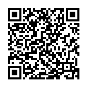 下一刻就直接进入到了方恒手腕上的血管之内开始涌动了二维码生成