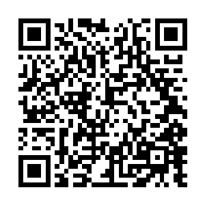 下一刻就见到石破空带着一帮修为雄厚的年轻人出来二维码生成