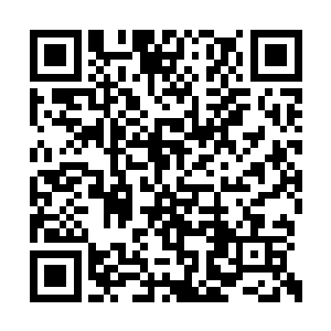下一刻就见那一群冲上的黑衣人先是身体晃了晃二维码生成