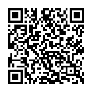 下一刻紫幕仙君使用的禁空手印直接失去了作用二维码生成