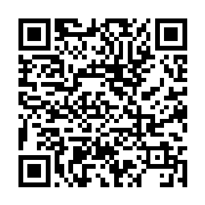 下一刻纷起的火焰化作道道焰流向着巨鸟空中飞去二维码生成