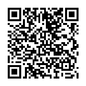 下一刻风翔宇的身体直接出现在了龙傲天的面前二维码生成