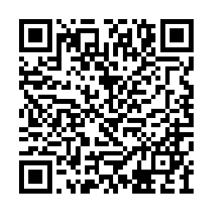 下一次我无论如何都不和你一组出去执行任务了二维码生成