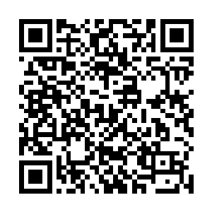 下一次追杀派来的只怕就不是四个心魔而是四个化魂了二维码生成