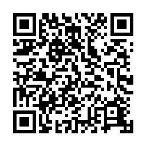 下一步也许就是从渎职中牵连出更多的问题和更多的人来了二维码生成