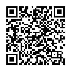 下一步也许就是把你搁在诸如社科院这一类的机构去养老吧二维码生成