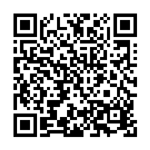 下一秒在万众瞩目下朱平安就将手伸向了一道菜二维码生成