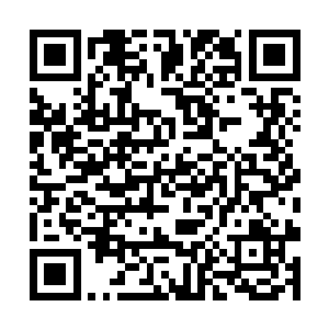 下一秒就看到刘大刀一脸兴奋的从倭寇营地跑了出来二维码生成